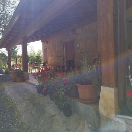 Balcon Aratz Apartment Mutiloa Exterior photo